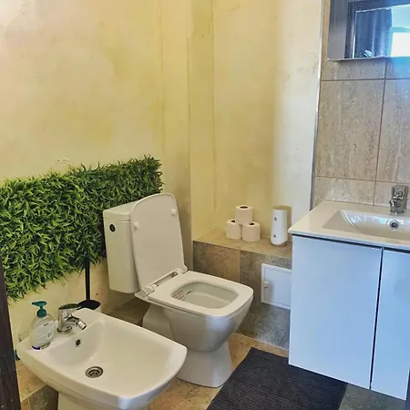 Apartment Nature Vibes *